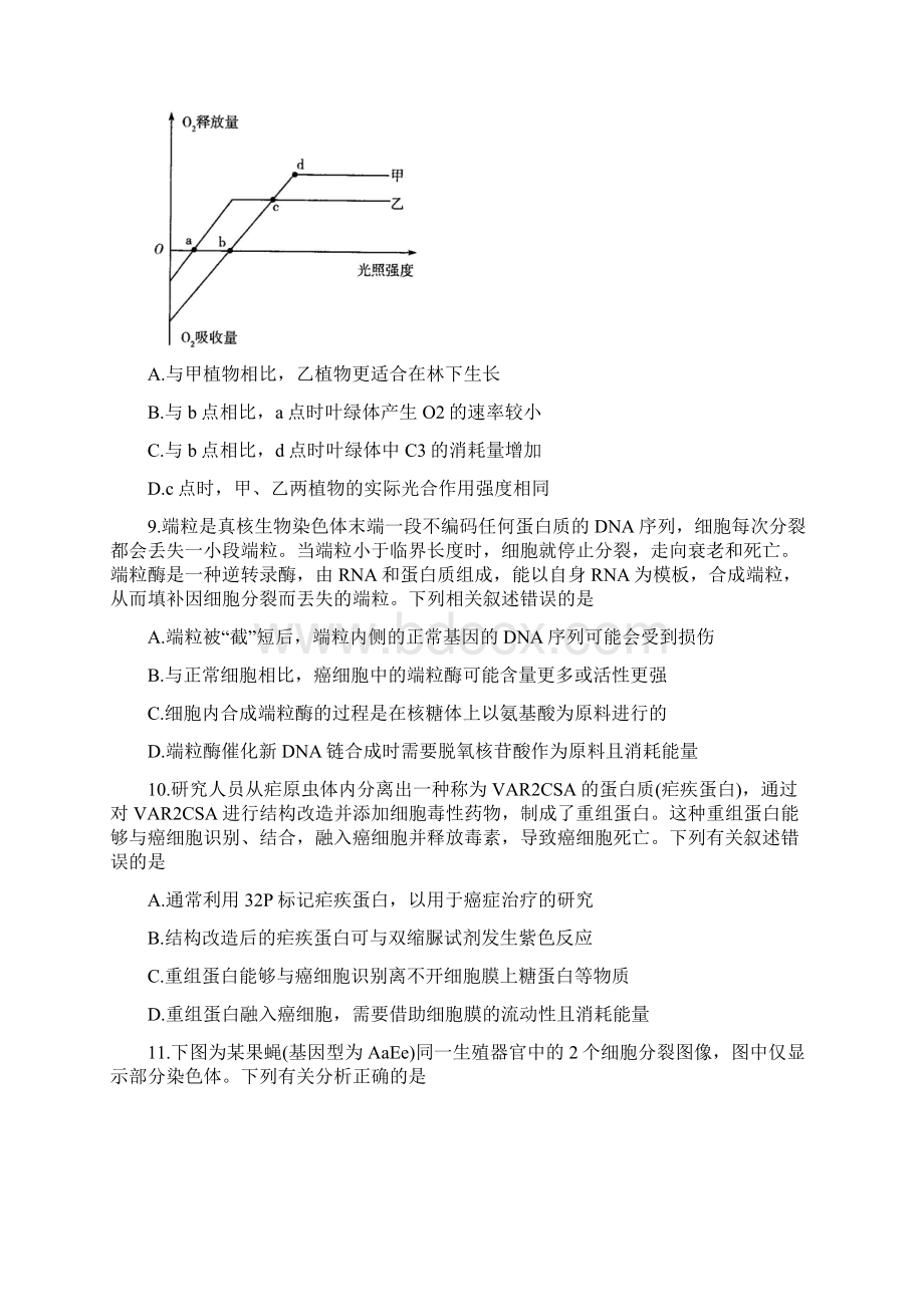 河南省天一大联考届高三上学期阶段性测试三 生物Word格式.docx_第3页