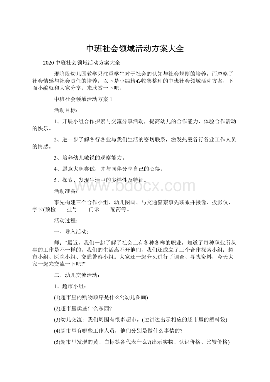 中班社会领域活动方案大全.docx