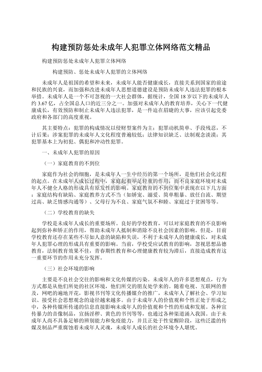 构建预防惩处未成年人犯罪立体网络范文精品.docx