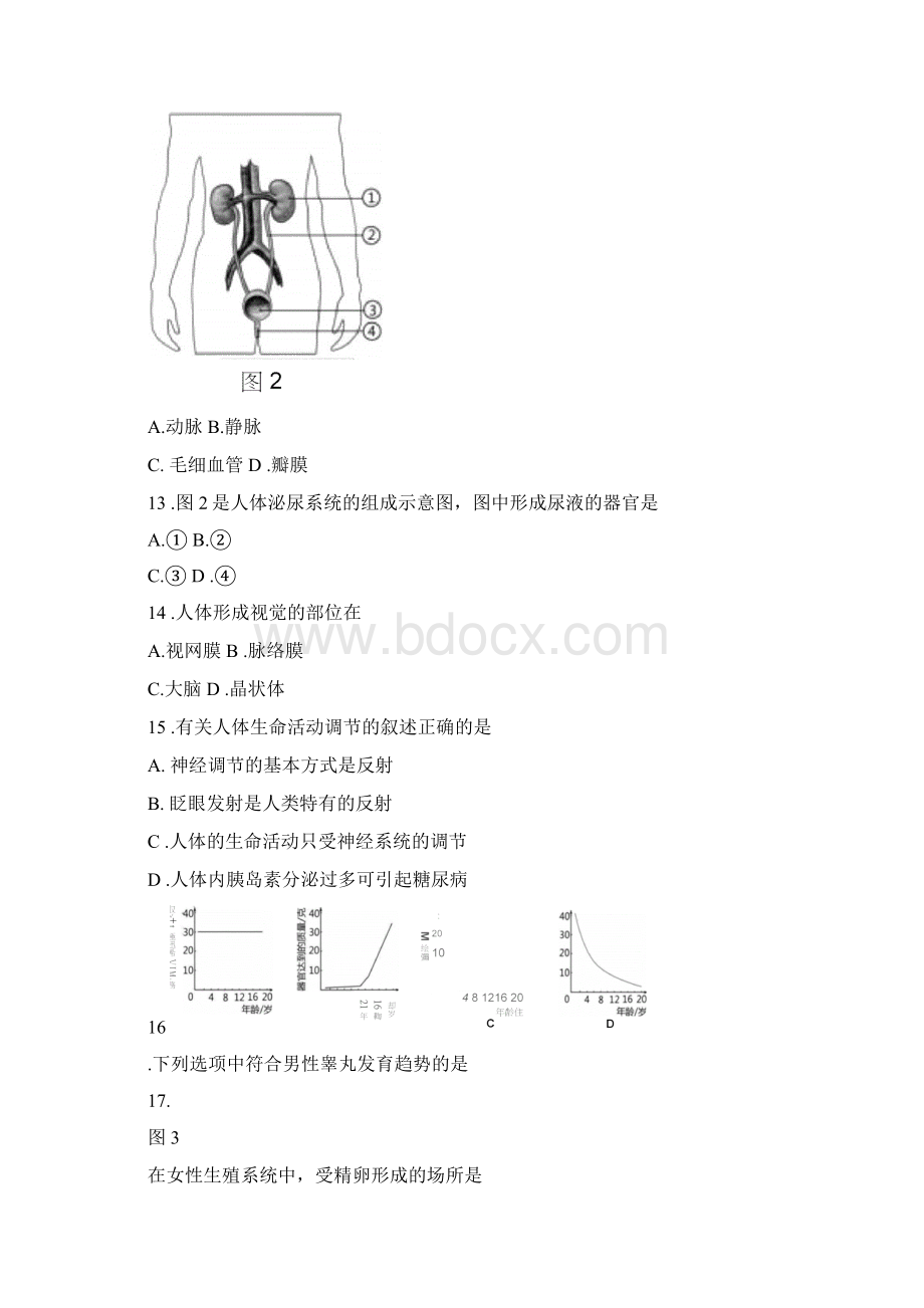 深圳市生地会考合卷含答案.docx_第3页