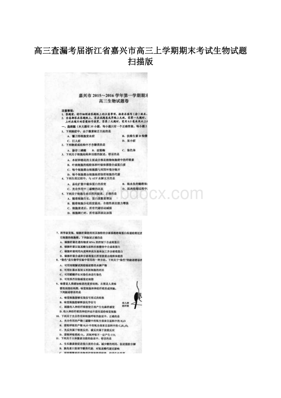 高三查漏考届浙江省嘉兴市高三上学期期末考试生物试题 扫描版Word下载.docx