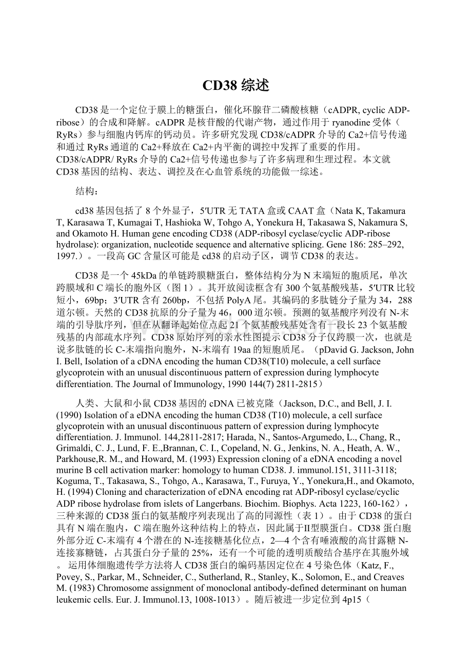 CD38 综述Word格式文档下载.docx