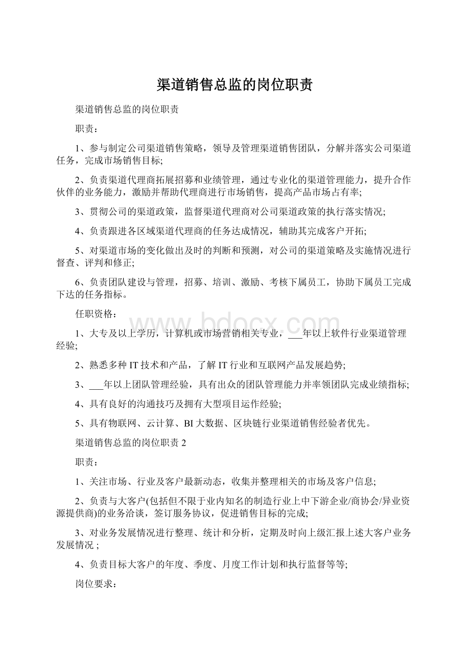 渠道销售总监的岗位职责Word文件下载.docx_第1页