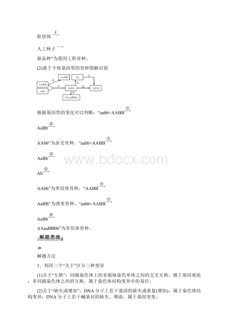 届一轮复习人教版变异与育种的解题策略 教案docxWord文件下载.docx_第3页