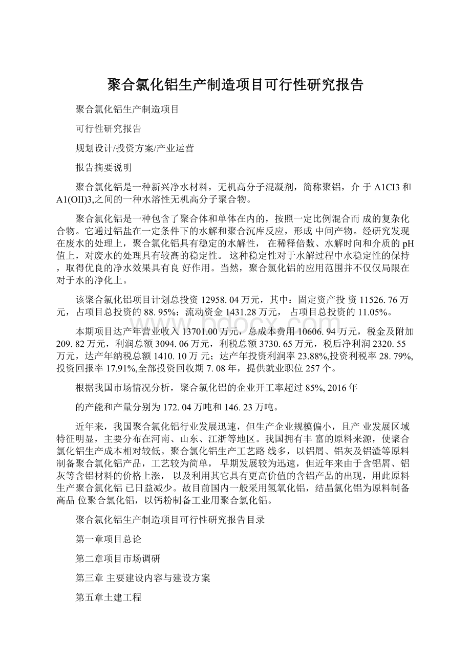 聚合氯化铝生产制造项目可行性研究报告.docx