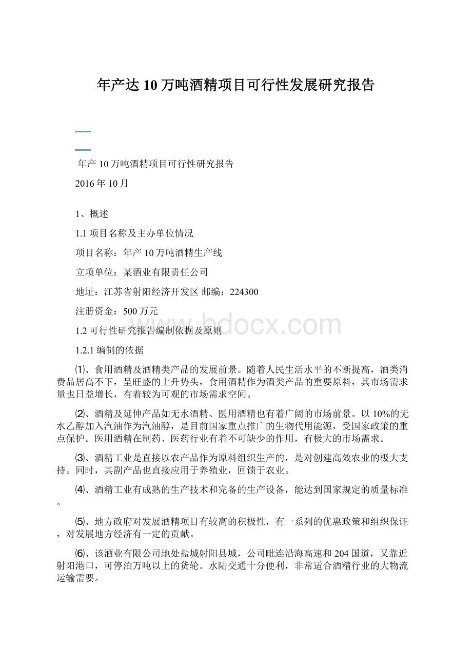 年产达10万吨酒精项目可行性发展研究报告Word文档下载推荐.docx