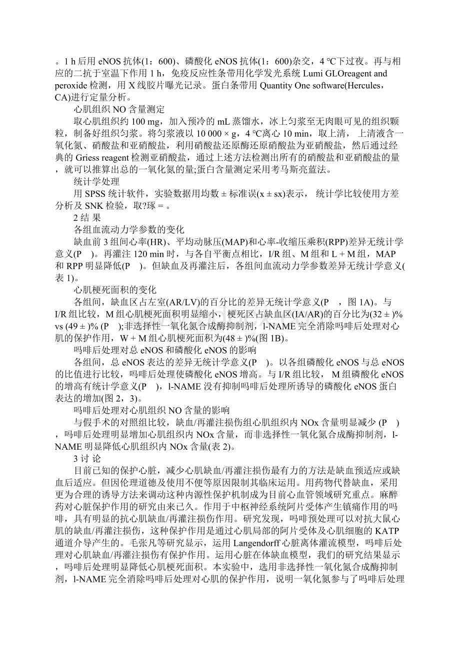 浅论一氧化氮在吗啡后处理对心肌缺血再灌注损伤保护中的作用Word格式文档下载.docx_第3页