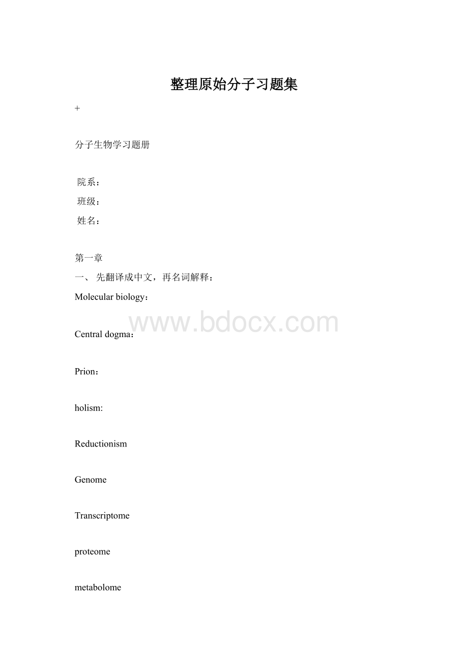 整理原始分子习题集Word格式文档下载.docx_第1页