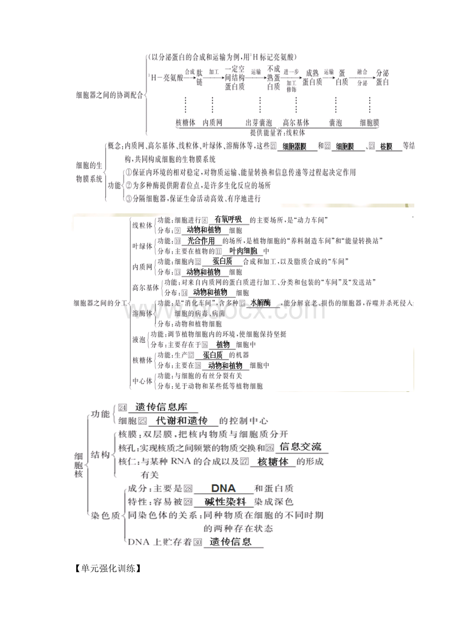 版生物一轮精品复习学案第3章 细胞的基本结构单元复习必修1.docx_第2页