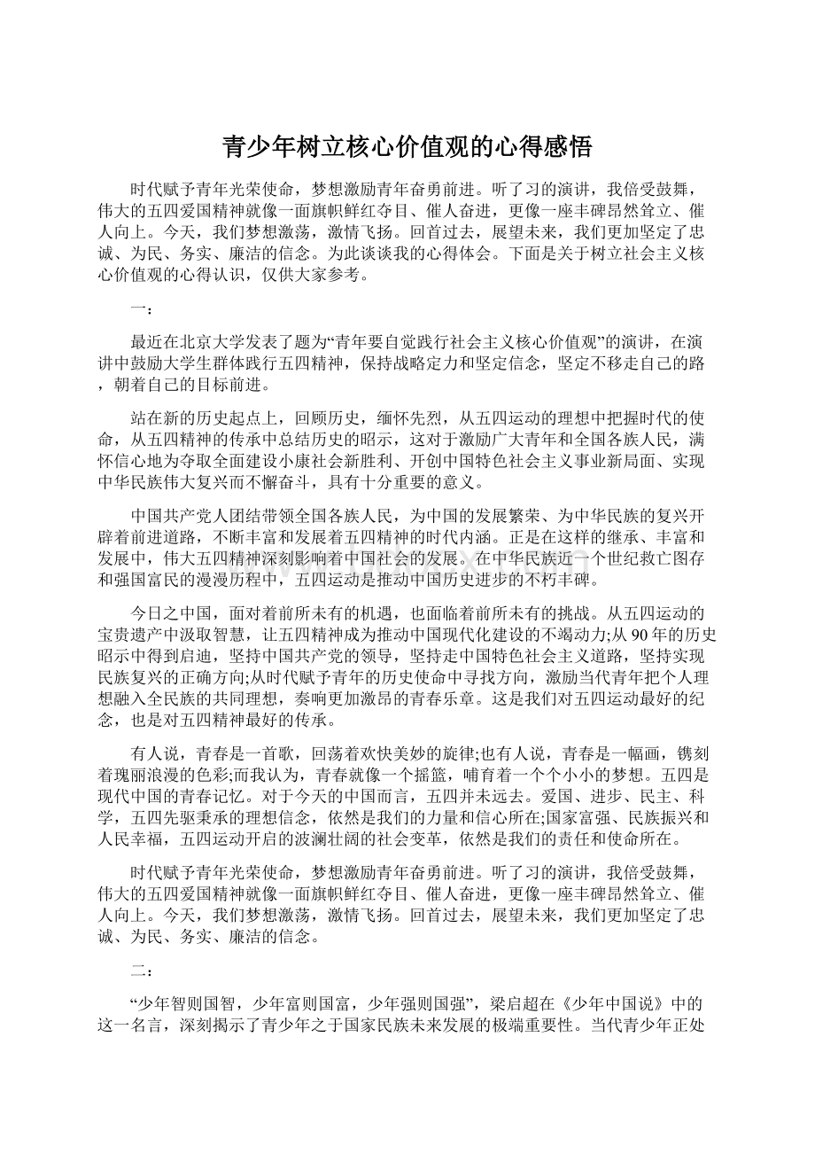 青少年树立核心价值观的心得感悟.docx_第1页