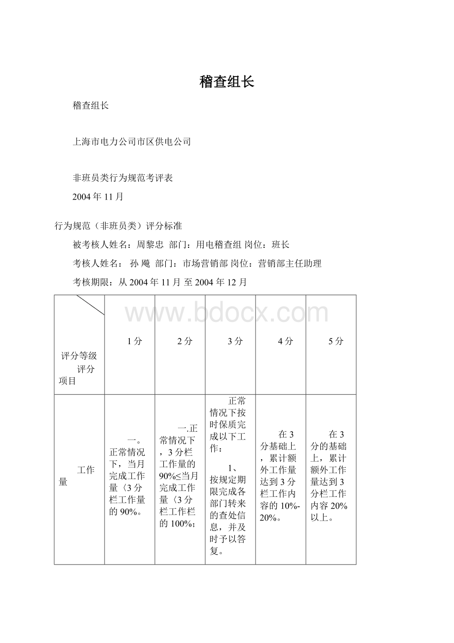 稽查组长文档格式.docx