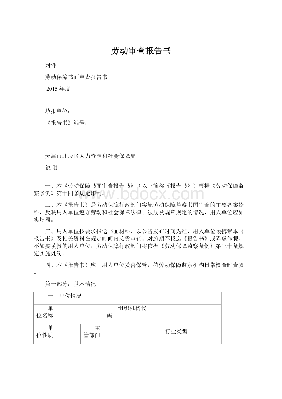 劳动审查报告书Word格式文档下载.docx