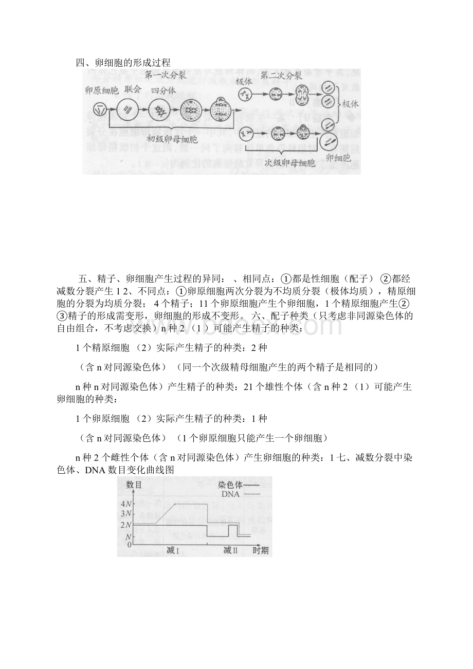 完整版减数分裂知识点总结.docx_第2页