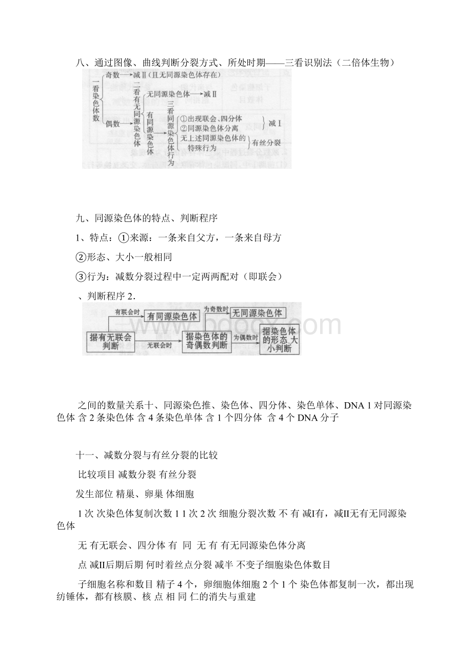 完整版减数分裂知识点总结.docx_第3页