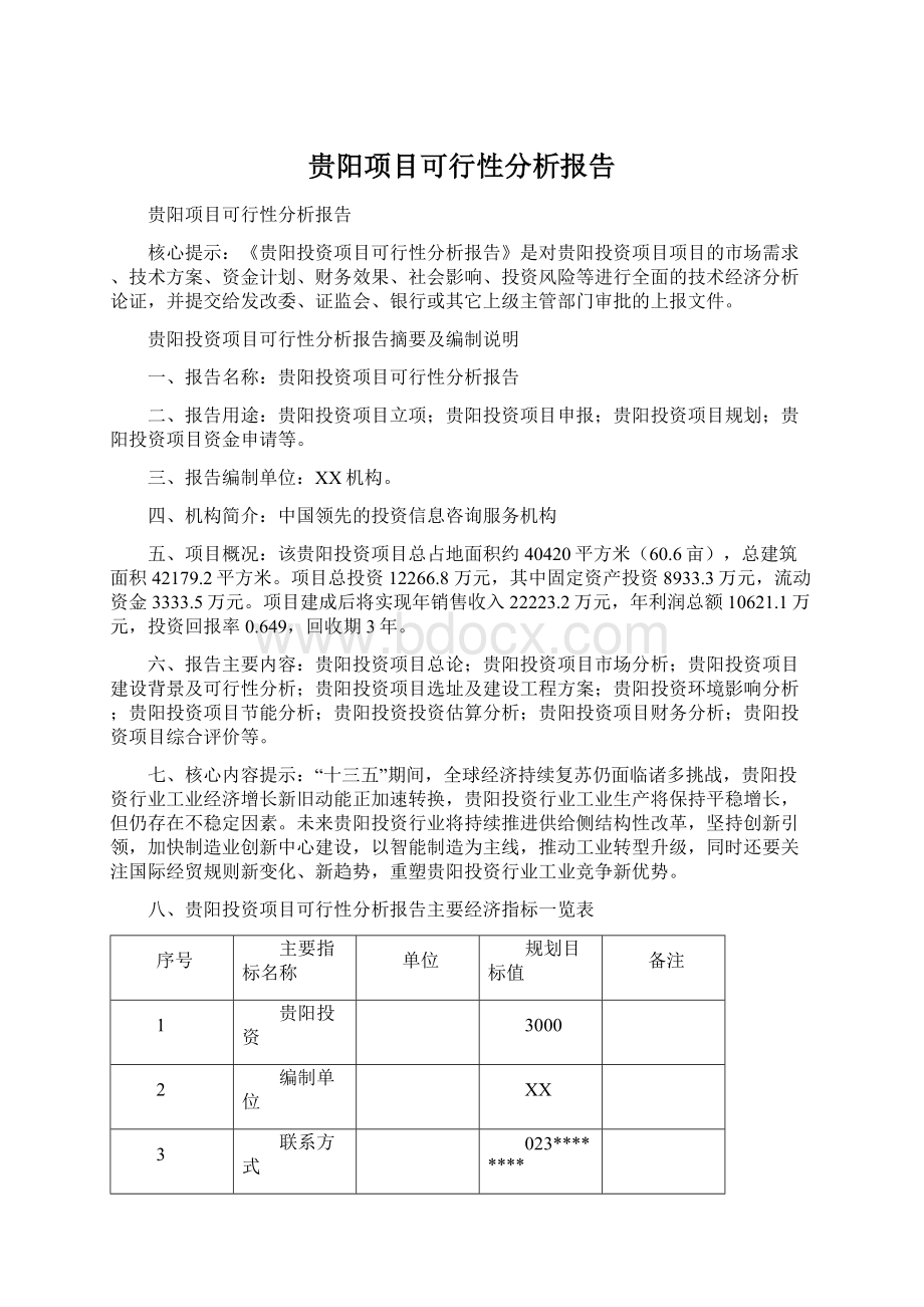 贵阳项目可行性分析报告Word格式.docx