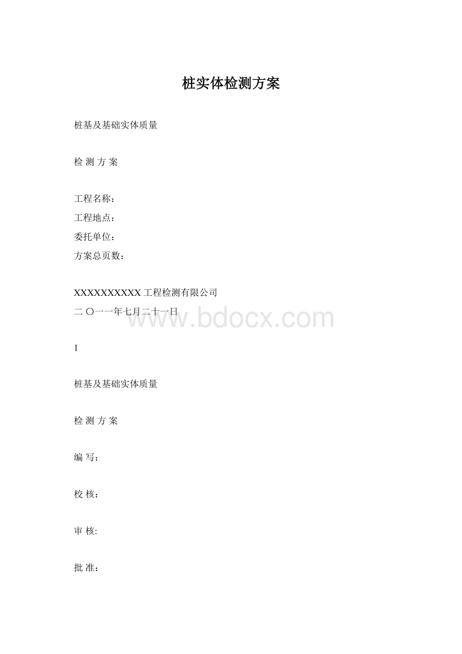 桩实体检测方案Word文档下载推荐.docx