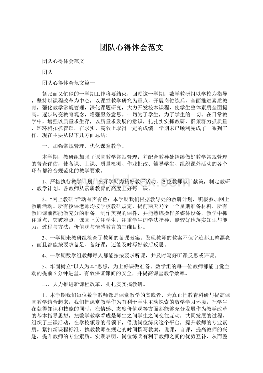 团队心得体会范文文档格式.docx_第1页