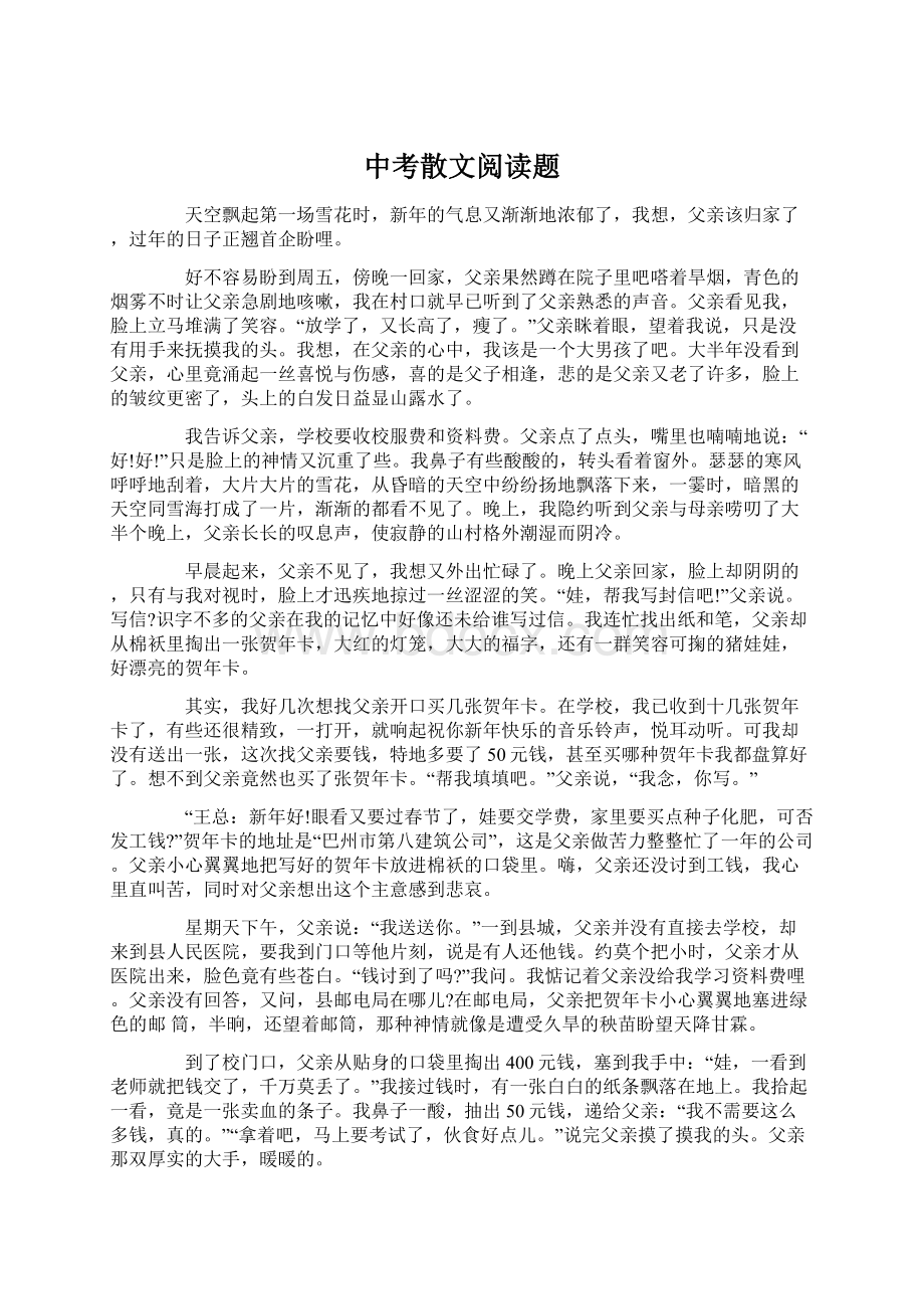 中考散文阅读题文档格式.docx