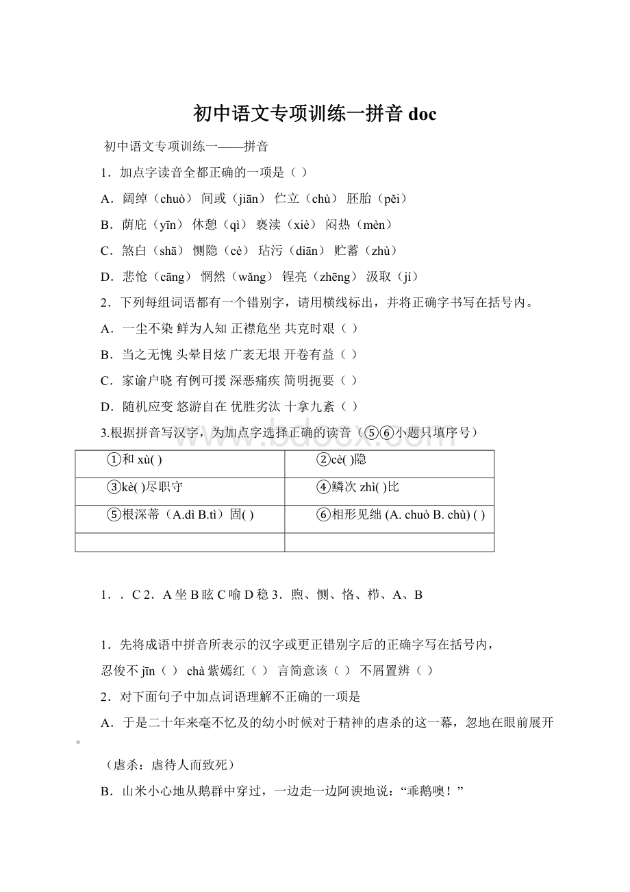 初中语文专项训练一拼音doc.docx