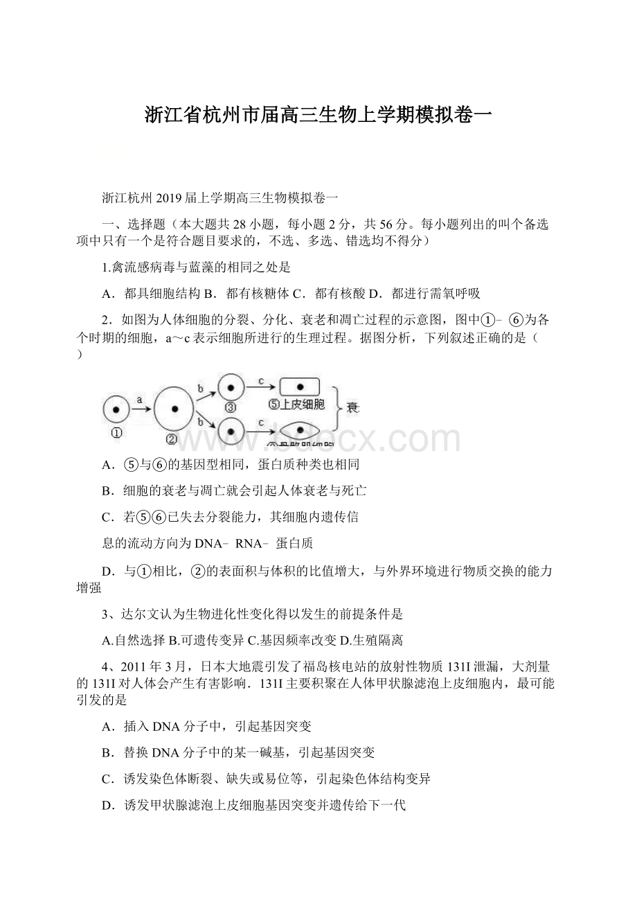 浙江省杭州市届高三生物上学期模拟卷一文档格式.docx