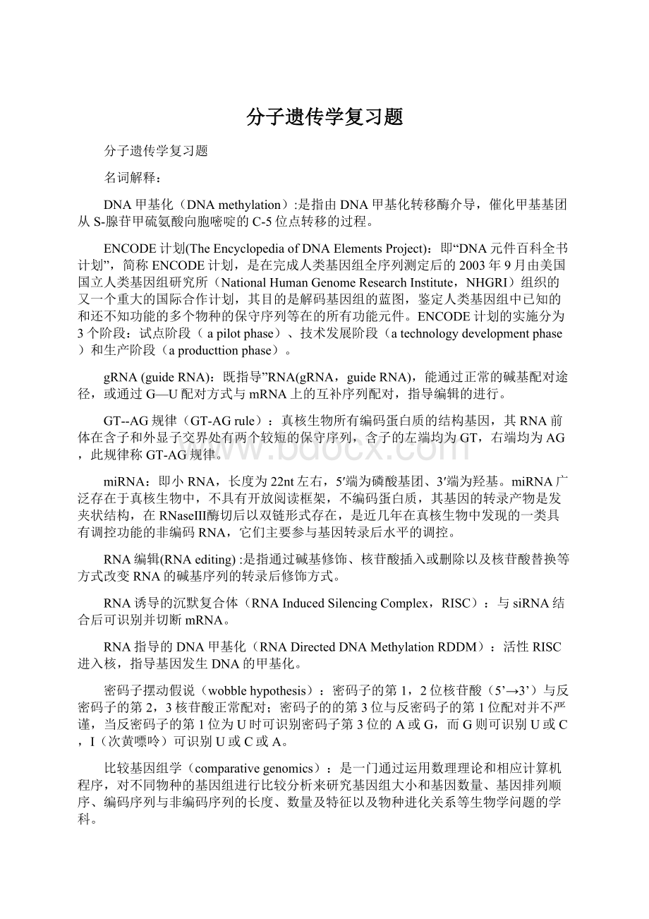 分子遗传学复习题Word格式文档下载.docx_第1页