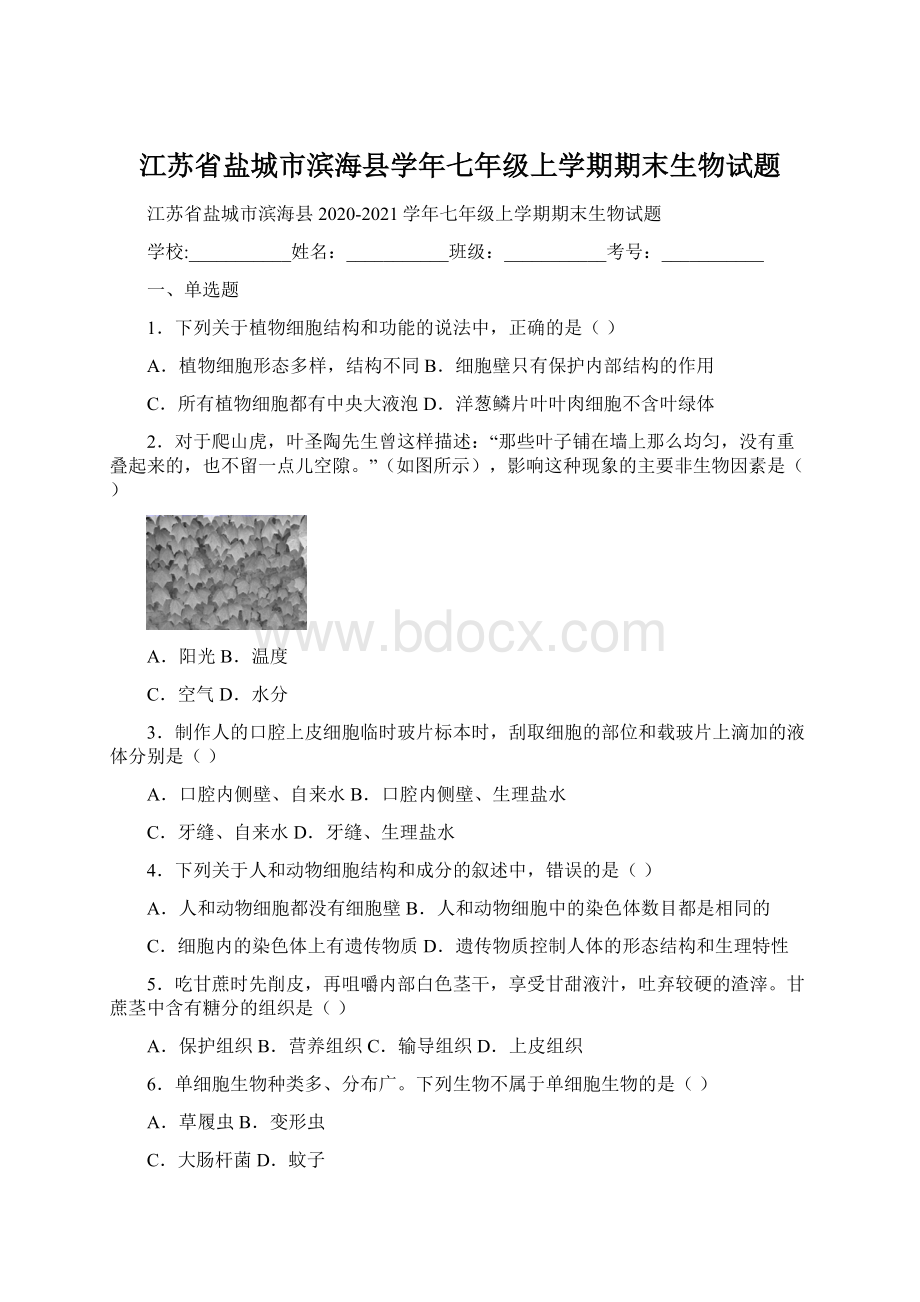 江苏省盐城市滨海县学年七年级上学期期末生物试题.docx_第1页