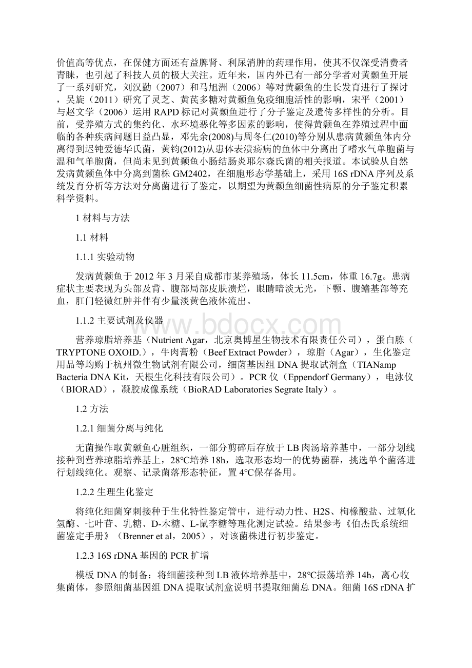 黄颡鱼小肠结肠炎耶尔森氏菌16SrDNA及系统发育分析文档格式.docx_第2页