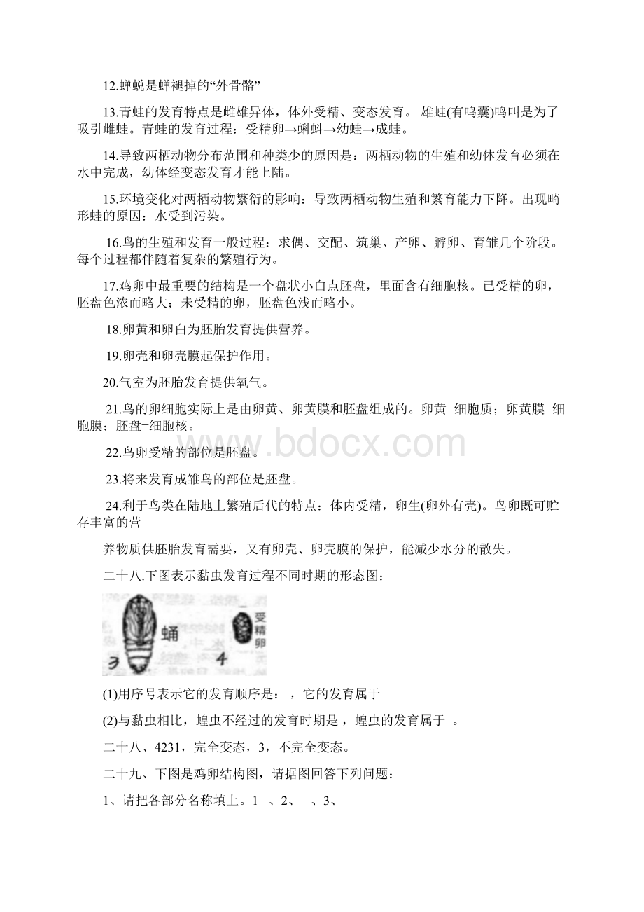 直接打印人教版八年级下册生物期末复习核心知识点提纲Word下载.docx_第2页