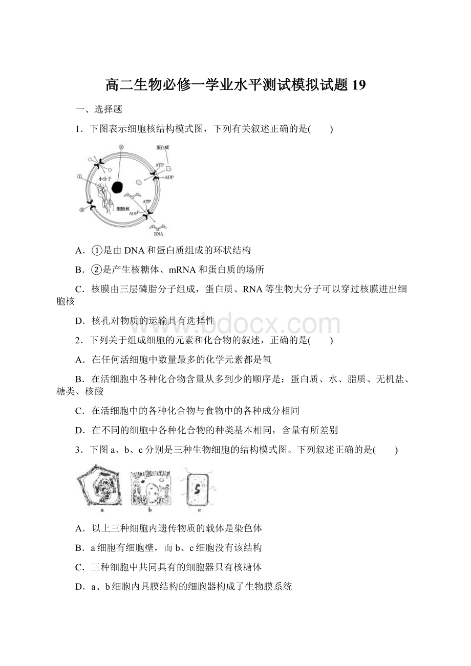 高二生物必修一学业水平测试模拟试题19Word格式.docx