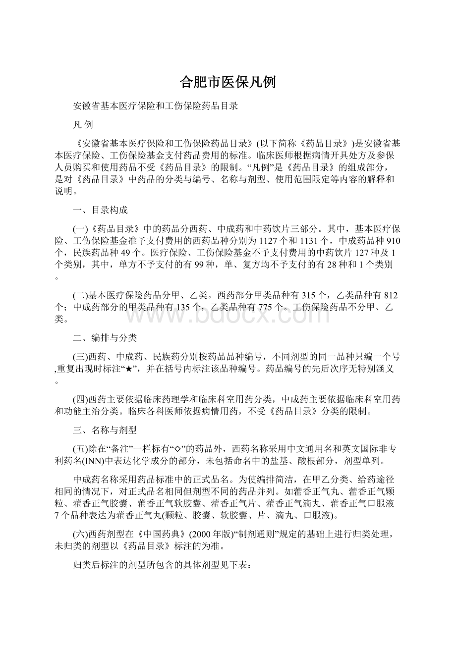 合肥市医保凡例Word格式.docx