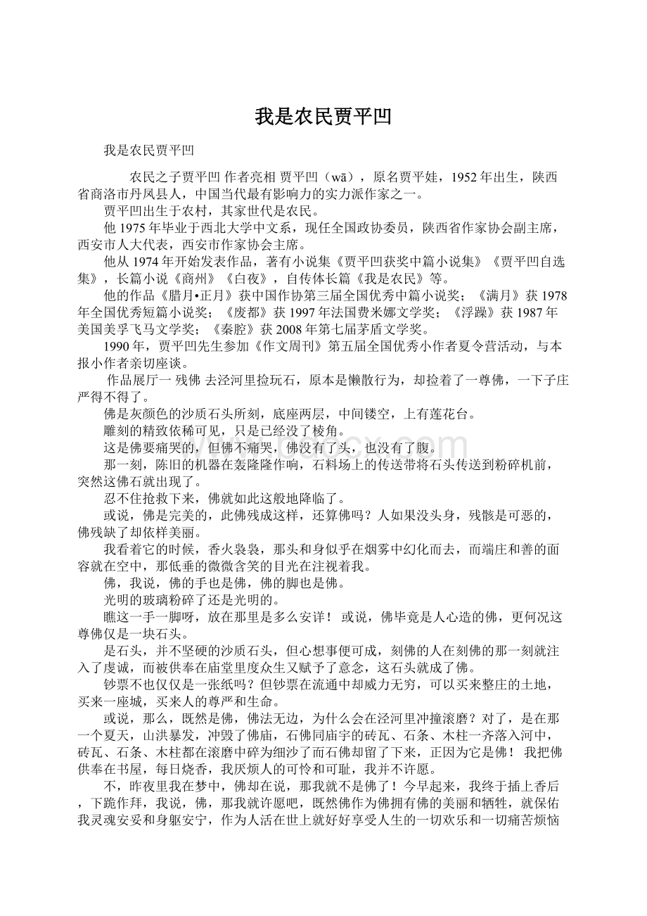 我是农民贾平凹Word文档格式.docx