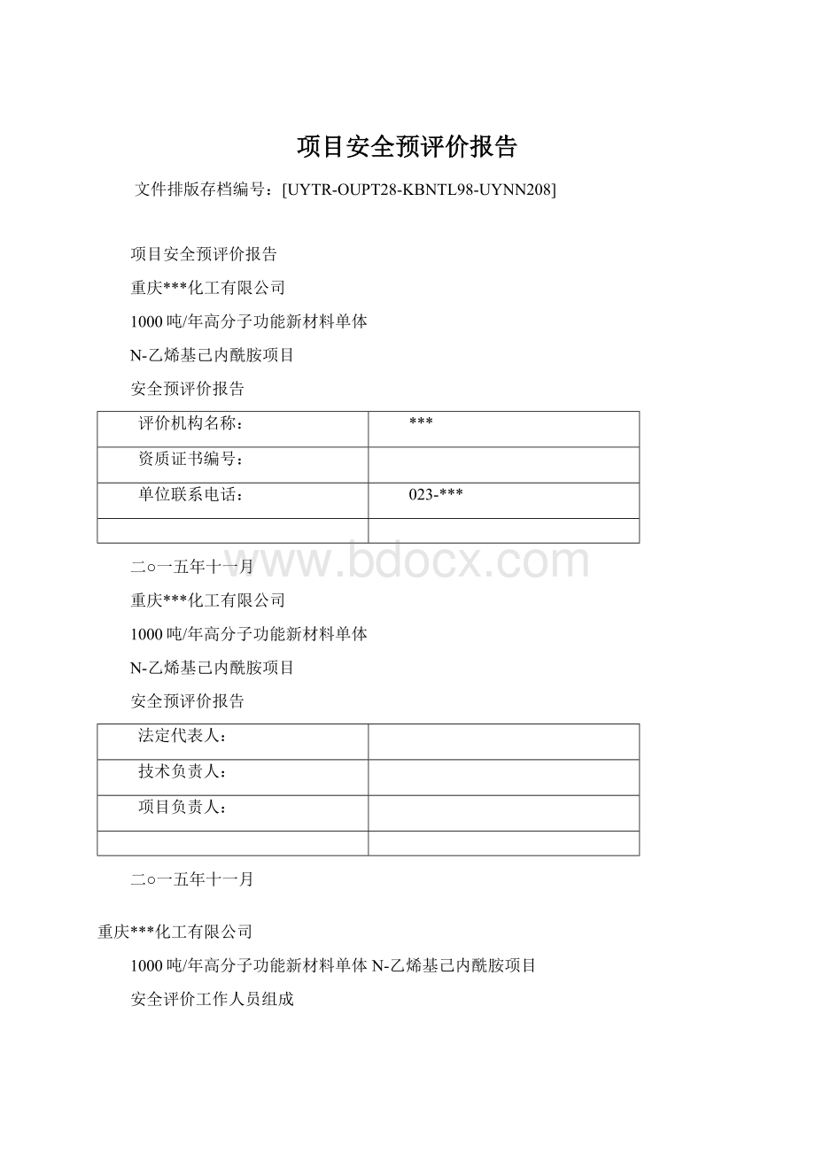 项目安全预评价报告文档格式.docx