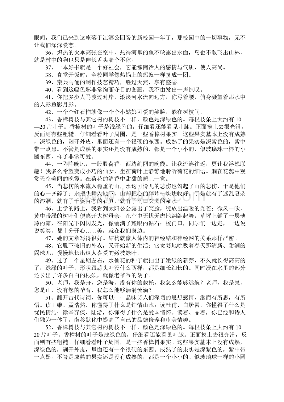 六年级语文优美句子Word文档下载推荐.docx_第3页