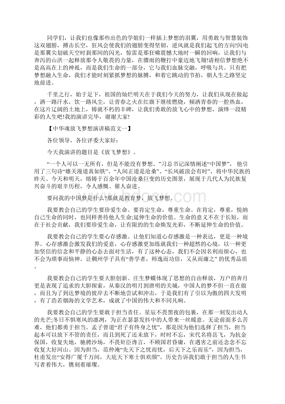 中华魂放飞梦想演讲稿3篇文档格式.docx_第2页