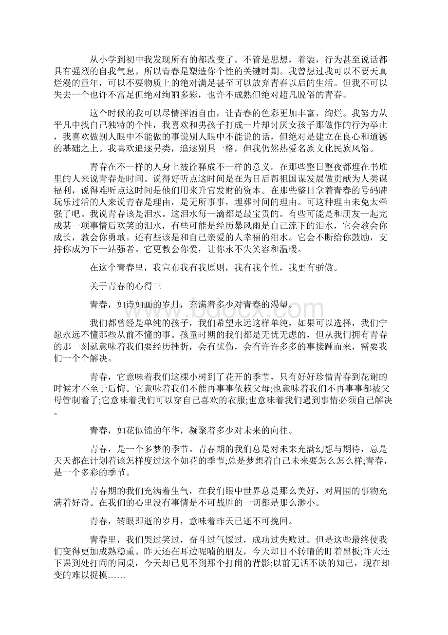 关于青春的心得文档格式.docx_第2页