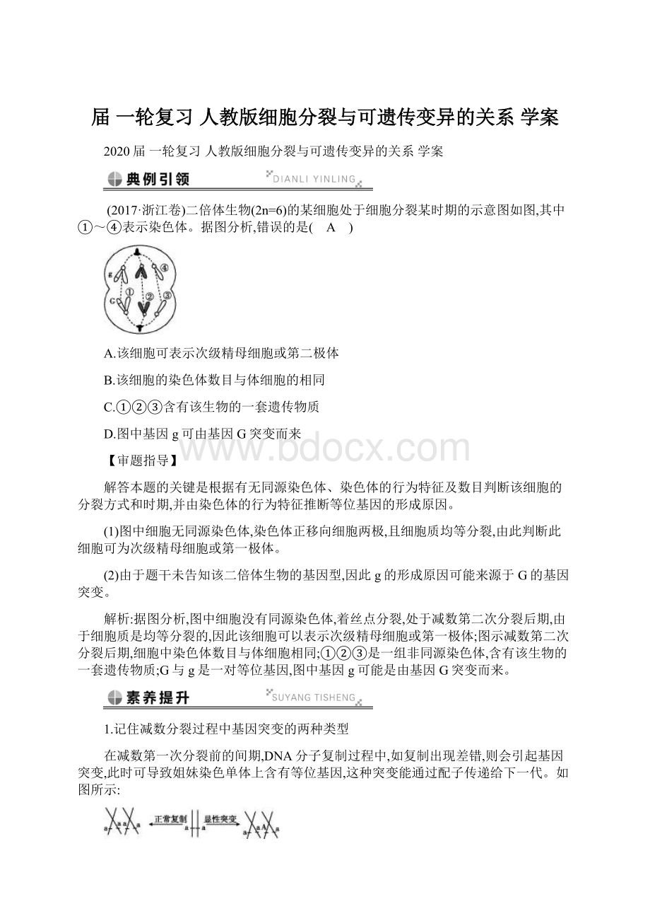 届 一轮复习人教版细胞分裂与可遗传变异的关系 学案.docx