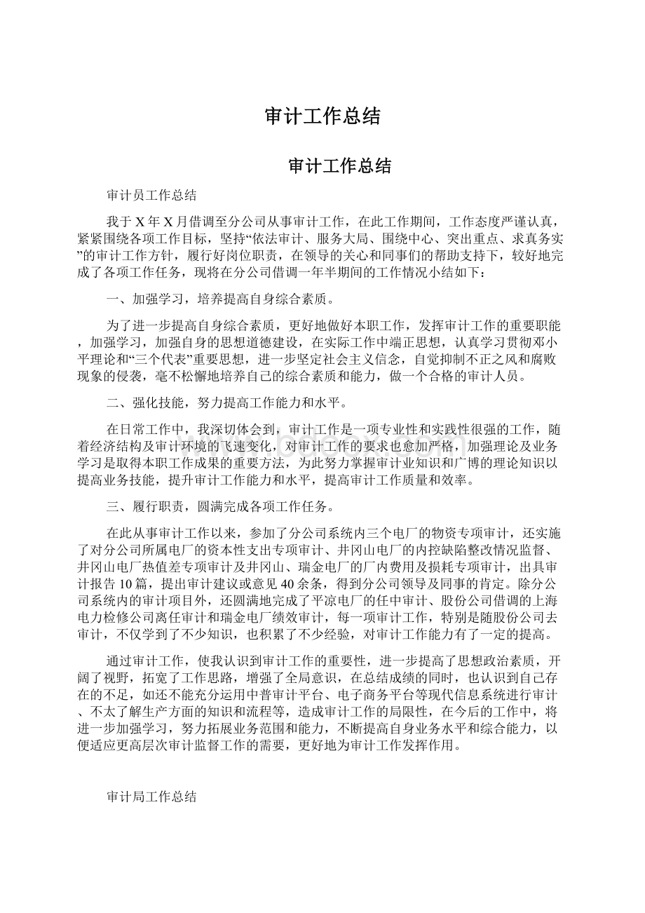 审计工作总结Word格式文档下载.docx_第1页