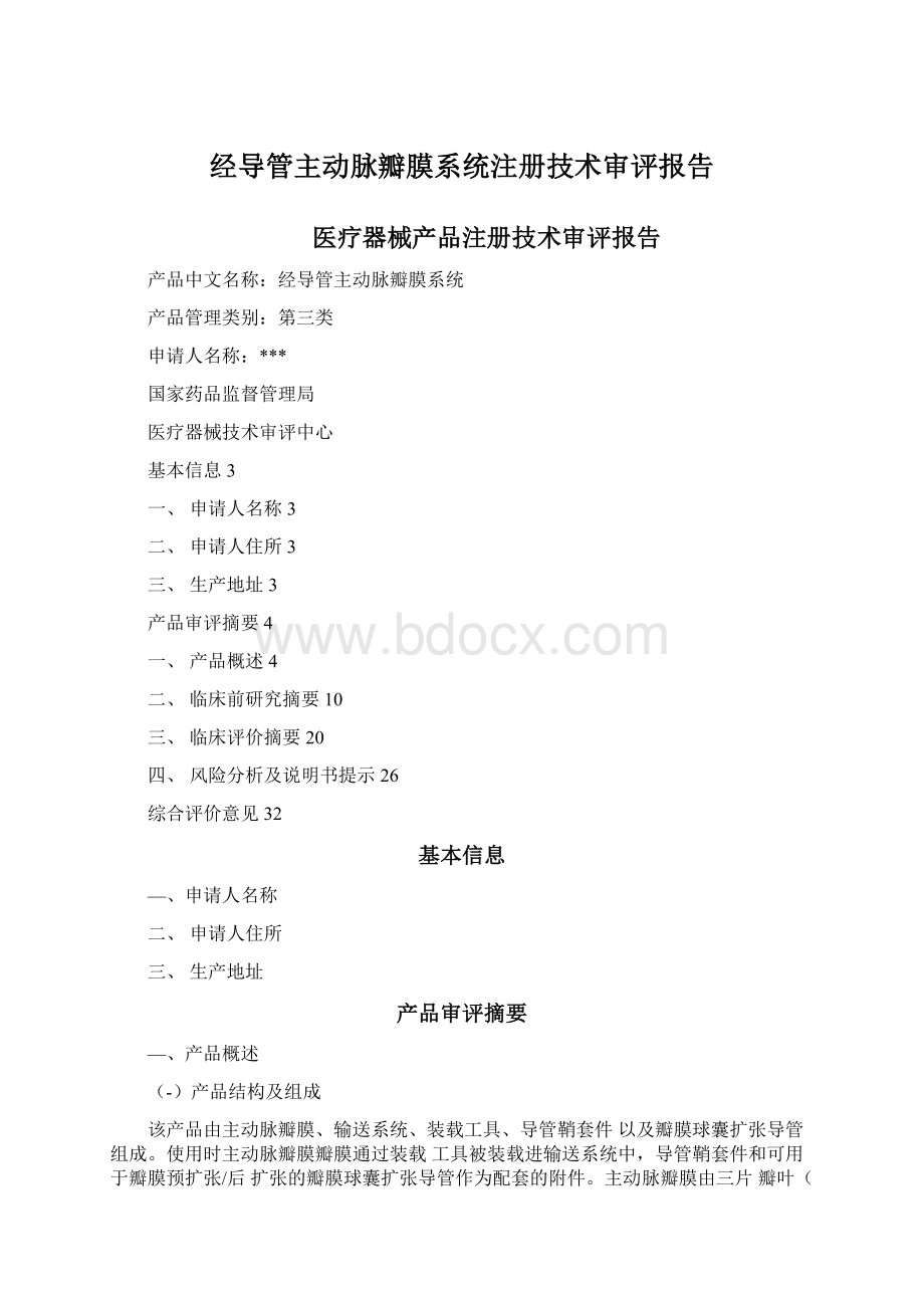 经导管主动脉瓣膜系统注册技术审评报告.docx