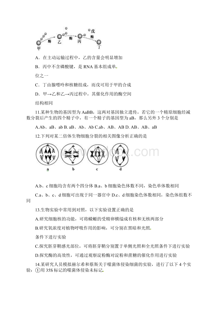 届高考生物总复习综合练习3选择题Word格式文档下载.docx_第3页