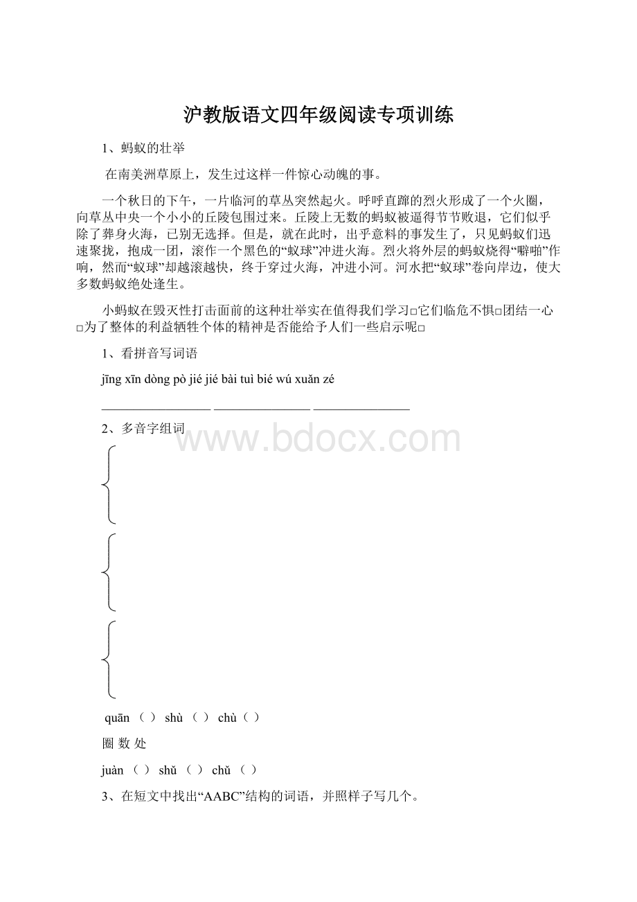 沪教版语文四年级阅读专项训练Word文档格式.docx