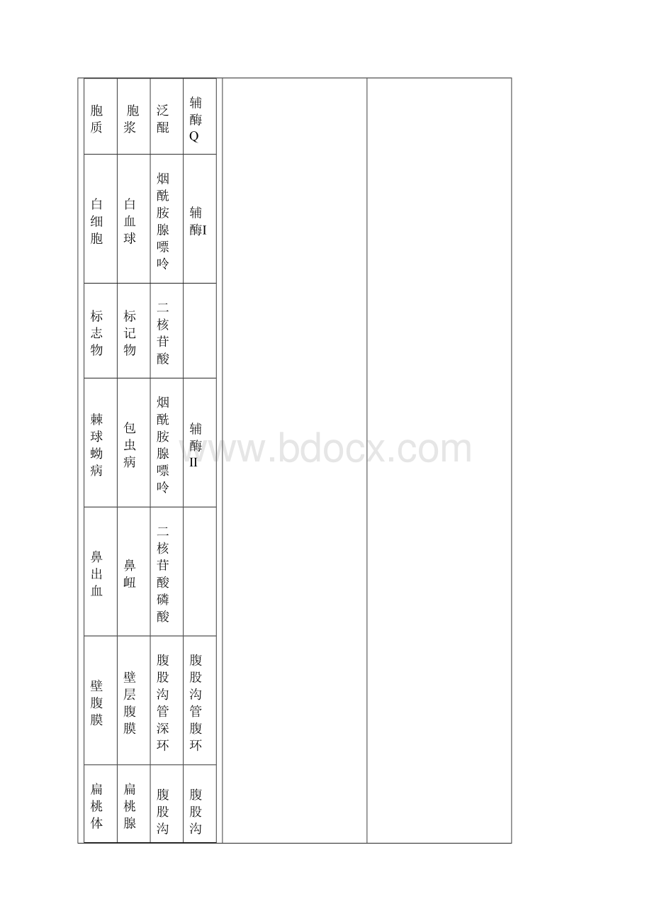 标准医学名词对照表Word文档格式.docx_第2页