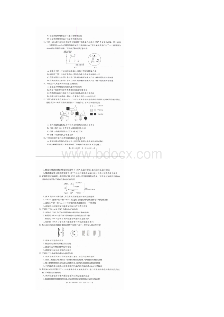 河南省洛阳市汝阳县实验高中届高三联考生物试题扫描版.docx_第3页