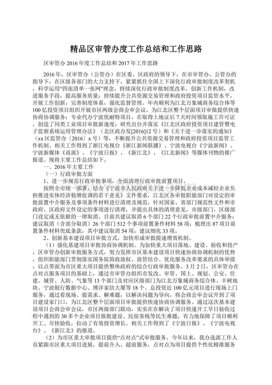 精品区审管办度工作总结和工作思路Word文档格式.docx