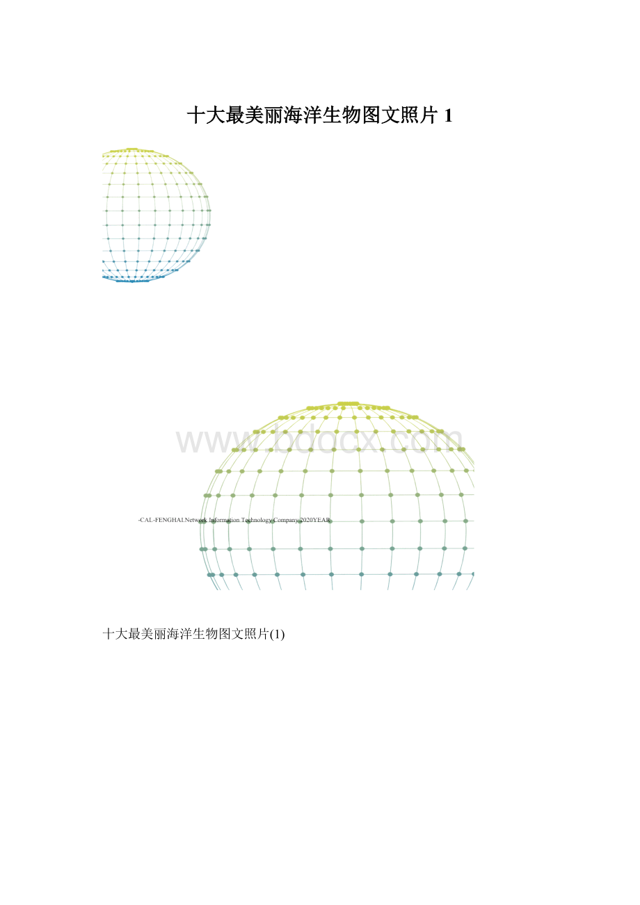 十大最美丽海洋生物图文照片1.docx_第1页