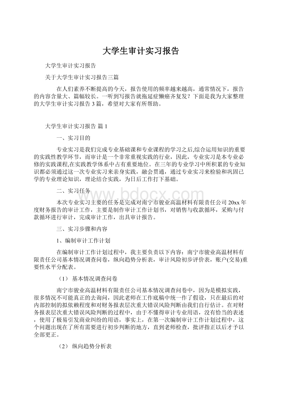 大学生审计实习报告.docx