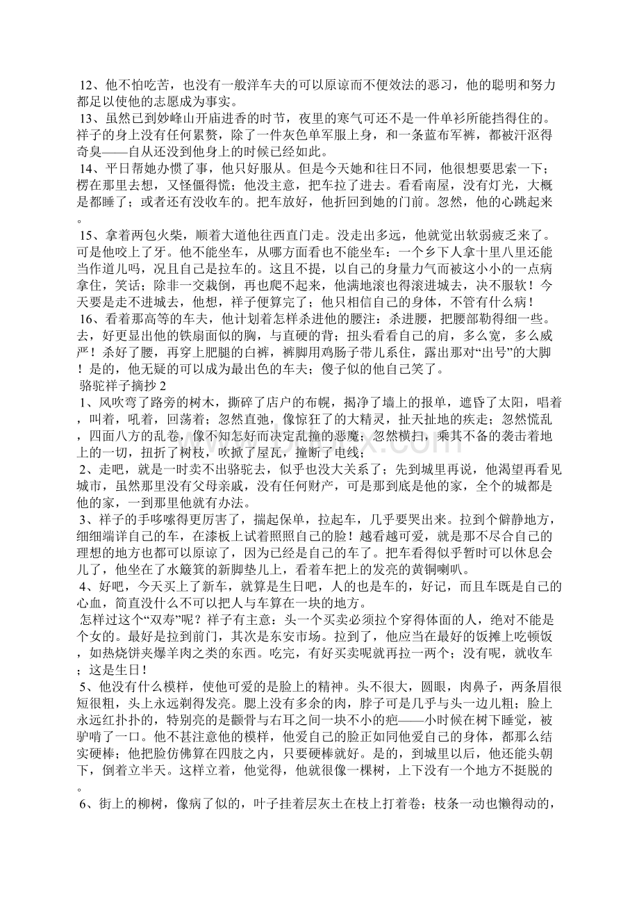 骆驼祥子摘抄汇总.docx_第2页