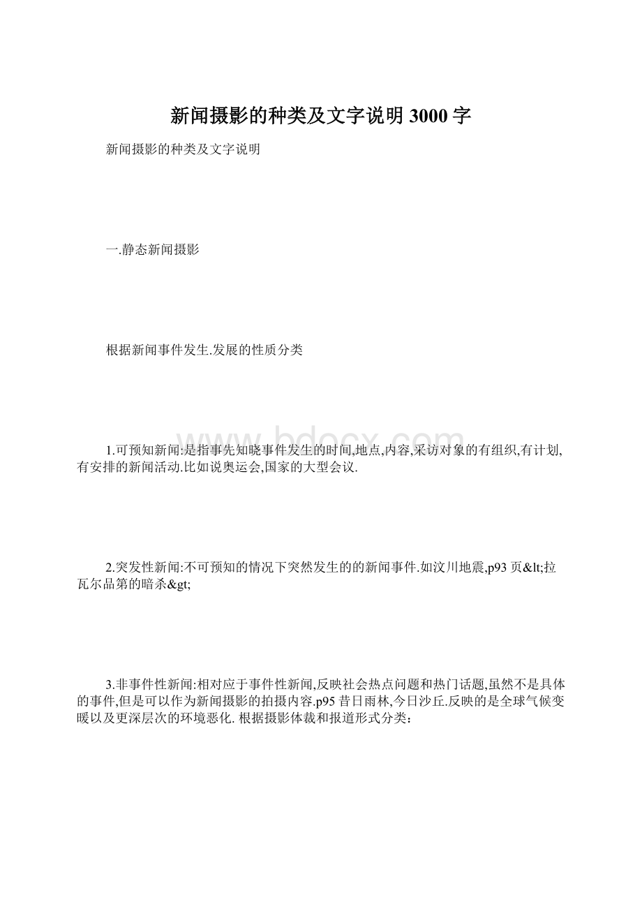 新闻摄影的种类及文字说明 3000字.docx