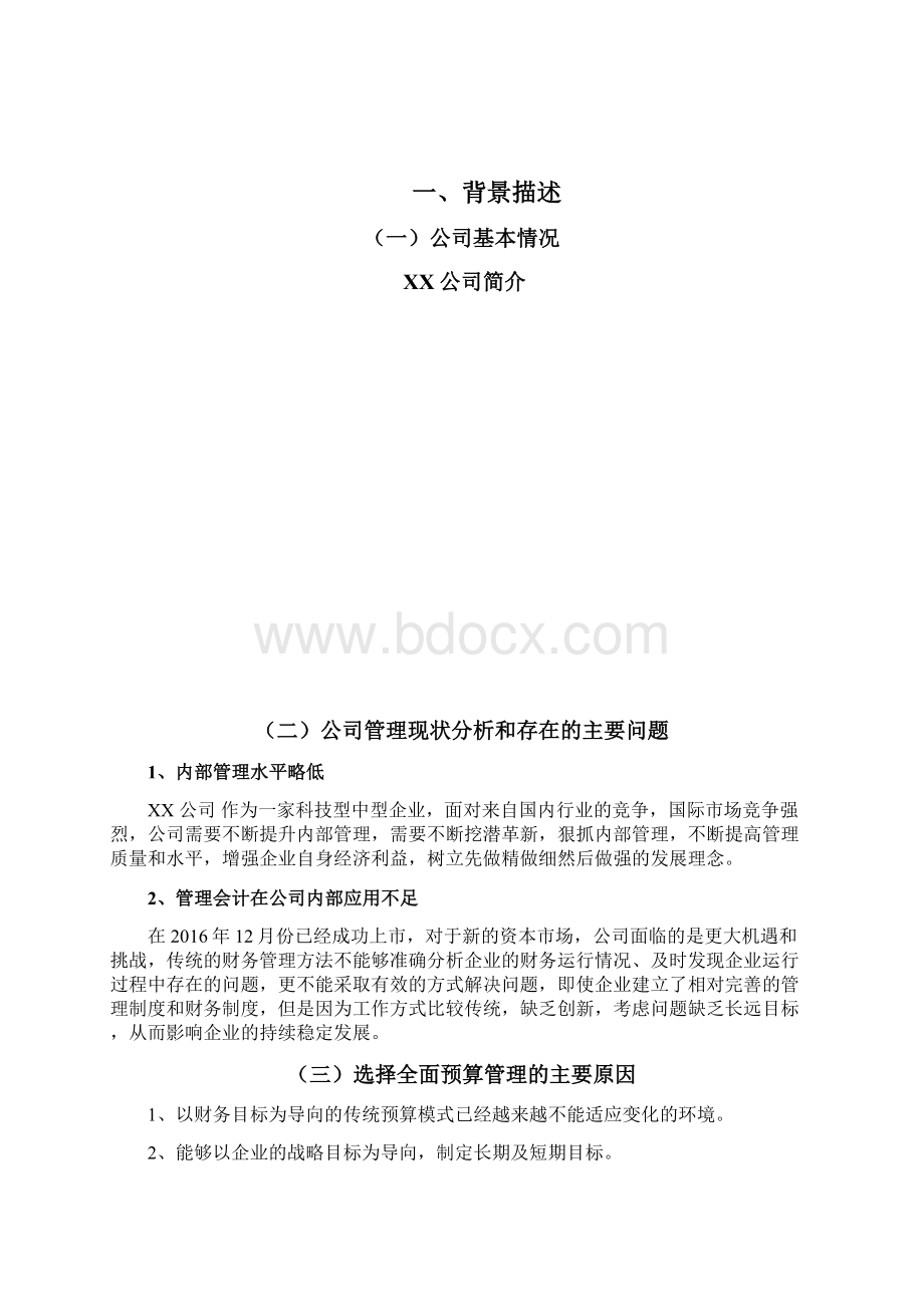 全面预算管理.docx_第2页