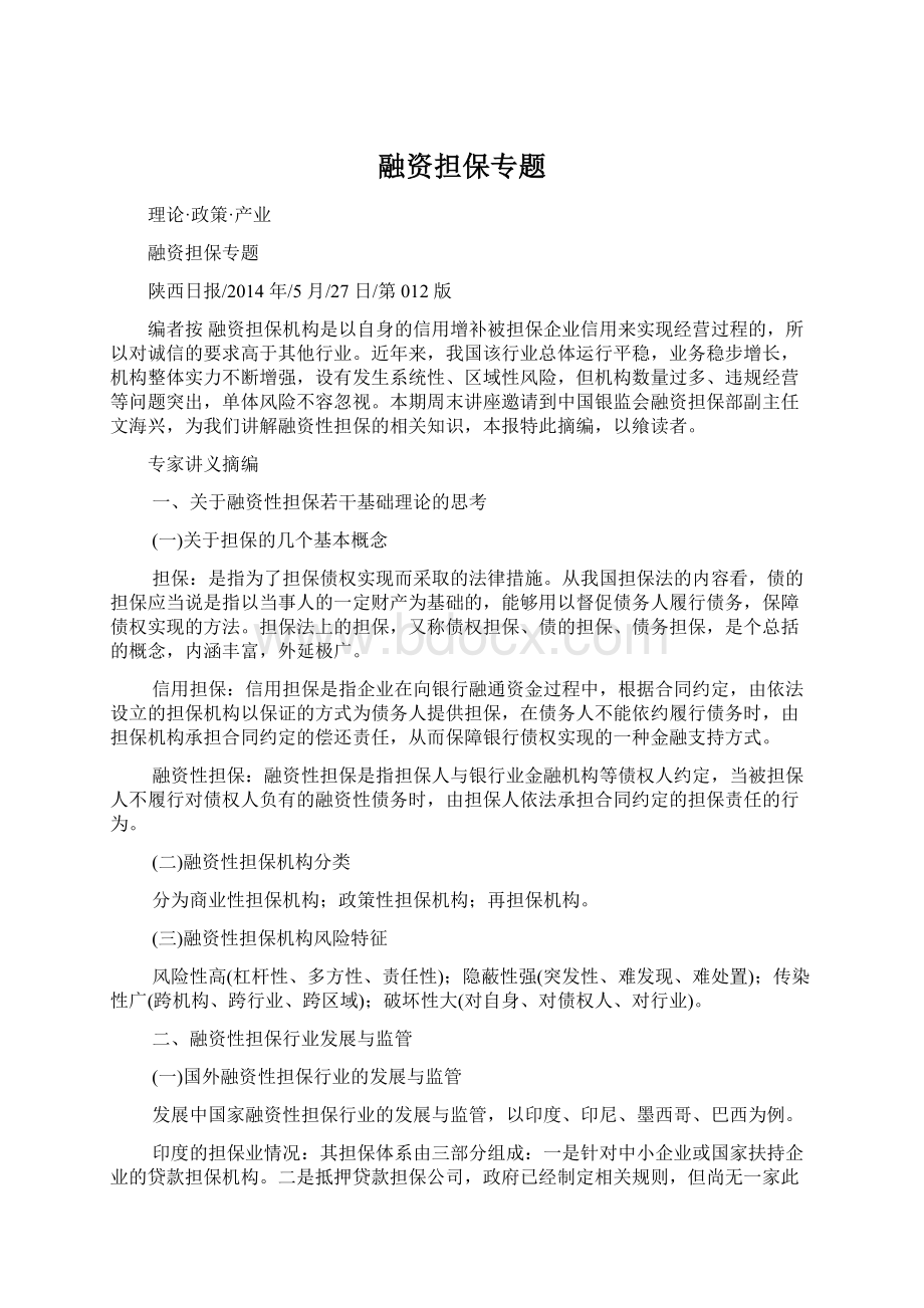 融资担保专题Word文档格式.docx