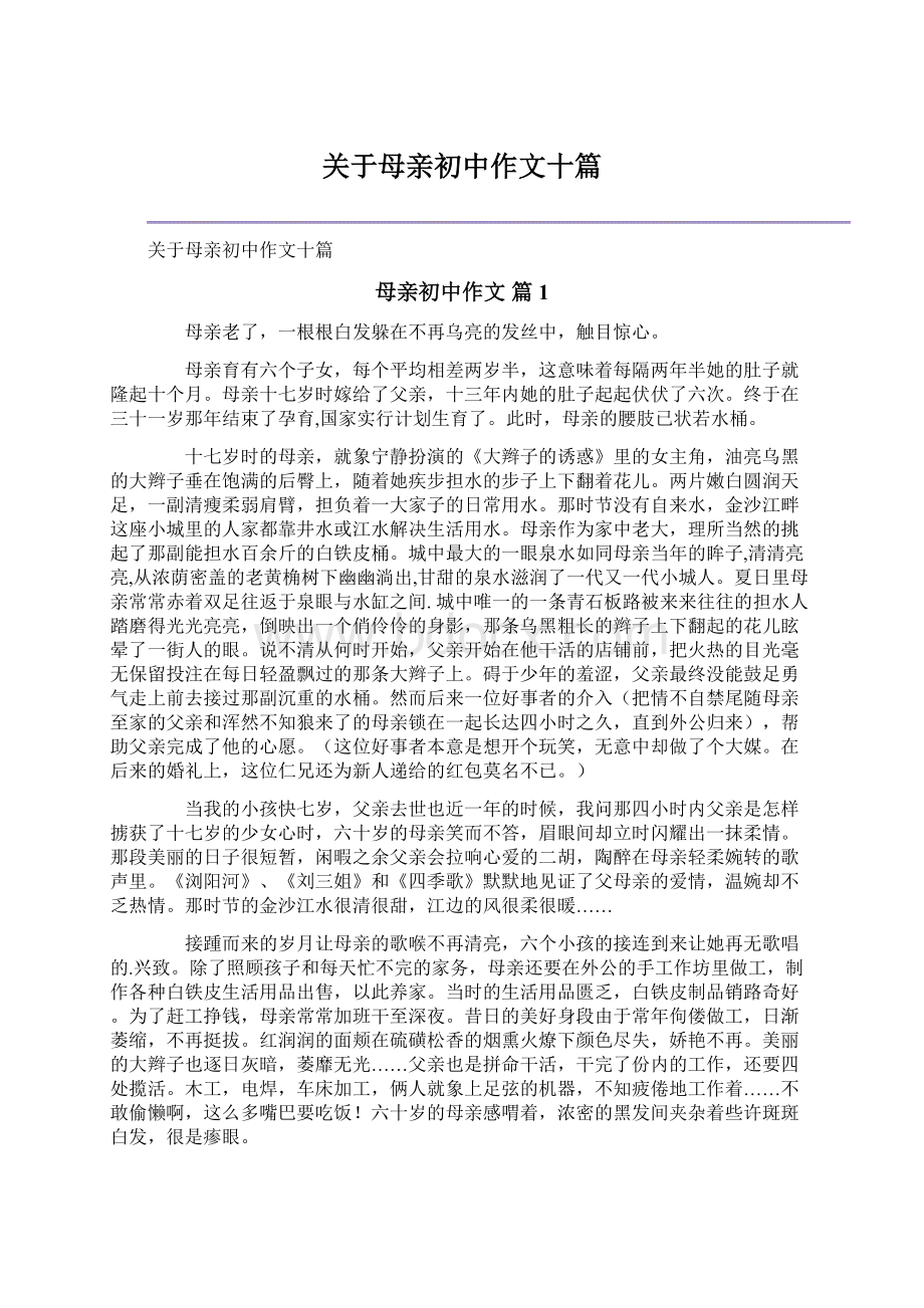 关于母亲初中作文十篇Word格式文档下载.docx_第1页